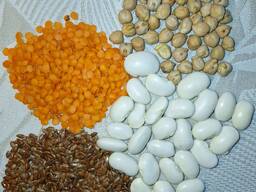 Купим зернобобовые и масличные культуры, лен, фасоль, чечевица, нут, прочие