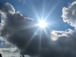 Легализация в Польше