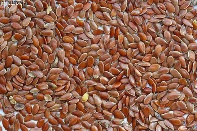 Семена павлодара армянский семени порно