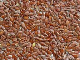 Семена льна FCA Павлодар Казахстан