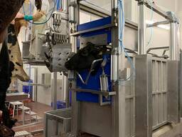 Linie uboju bydła, świń i owiec - projekt, produkcja, dostawa - REVIC