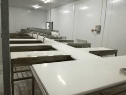 Linie do filetowania, stoły, stojaki ze stali nierdzewnej - na zamówienie, Revic