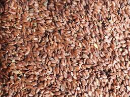 Linseeds, mustard seeds, buckwheat
