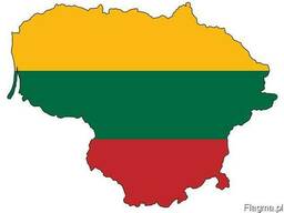 Литовская виза 360/360