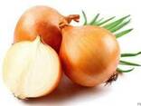 Лук
