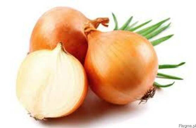 Лук