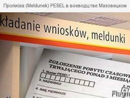 Мельдунек в Варшаве за 1 день