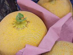 Melon
