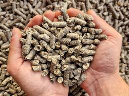 Miąższ buraczany granulowany