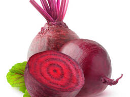 Молодая свекла