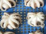 Мороженные рыба и морепродукты в Польшу от производителя из КНР - фото 6
