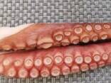 Мороженные рыба и морепродукты в Польшу от производителя из КНР - фото 8