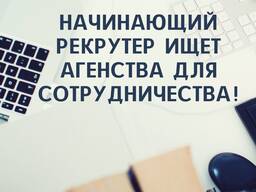 Начинающий рекрутер в Польше ищет агенства для сотрудничества