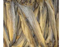 Norwegia Suchy sztokfisz na sprzedaż / Suszony sztokfisz / Mrożone ryby z Norwegii