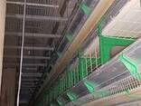 Оборудование для птицефабрик - фото 3