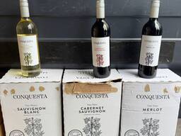 Oferujemy hurtowe wino