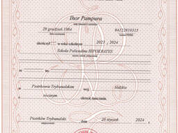 Официальный сертификат знания польского языка (B1)