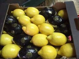 Продажа лимон из Турции