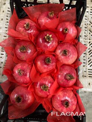 Оптовая продажа фруктов, овощей, цитрусовых