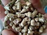 Pellet Drzewny - photo 1