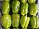 Перец - фото 3