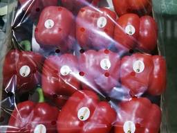 Перец калифорния