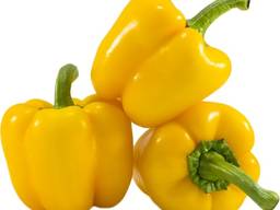 Перец желтый и красный "Калифорния" ОПТОМ из Турции