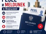 PESEL и meldunek в Варшаве - zdjęcie 1