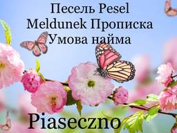 Pesel Песель Meldunek Прописка Piaseczno