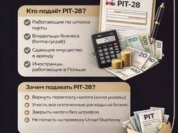 PIT-28 в Польше: кому подходит и зачем его подавать?