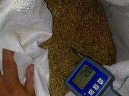 Пивная дробина