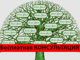 Поиск корней. Генеалогия. Исследование родословной