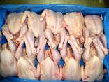 Польские мороженные тушки цыплят 1.1кг шт. без шей и потрохов, голые, в картоне 10 шт. - zdjęcie 3