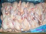 Польские мороженные тушки цыплят 1.1кг шт. без шей и потрохов, голые, в картоне 10 шт. - zdjęcie 4