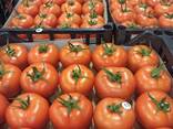 Помидор красный - фото 2