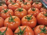 Помидор красный - фото 4
