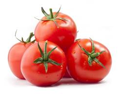 Помидоры ОПТОМ из Турции