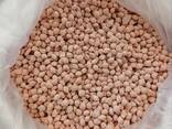 Potassium Chloride Uzbekistan - zdjęcie 1