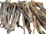 Premium Quality Dried Bombay Duck Fish / Dried Cod Fish Tosk Cod Fish - zdjęcie 1