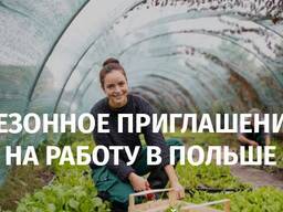 Приглашение на сезонные работы ZASWIADCZENIE Сезонное приглашение в Польшу засвядчение !
