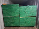 Продам дошку дубову обрізну суху(8-12%) - фото 3