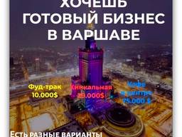 Готовый бизнес в польше фауна канарских островов
