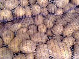 Продам картофель