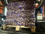 Продам картошку - zdjęcie 2
