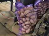 Продам картошку - zdjęcie 4