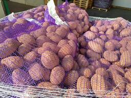 Продам картошку Сорая