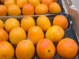 Sprzedajemy persymony bezpośrednio od sprawdzonego hiszpańskiego producenta.