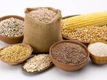 Продаж різних зернових культур (пшениця, кукурудза, соя та ін. ) - zdjęcie 1