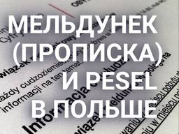 Прописка Песель Вроцлав и другие города