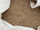 Proso japońskie Pajza / Barnyard millet seeds food - zdjęcie 2